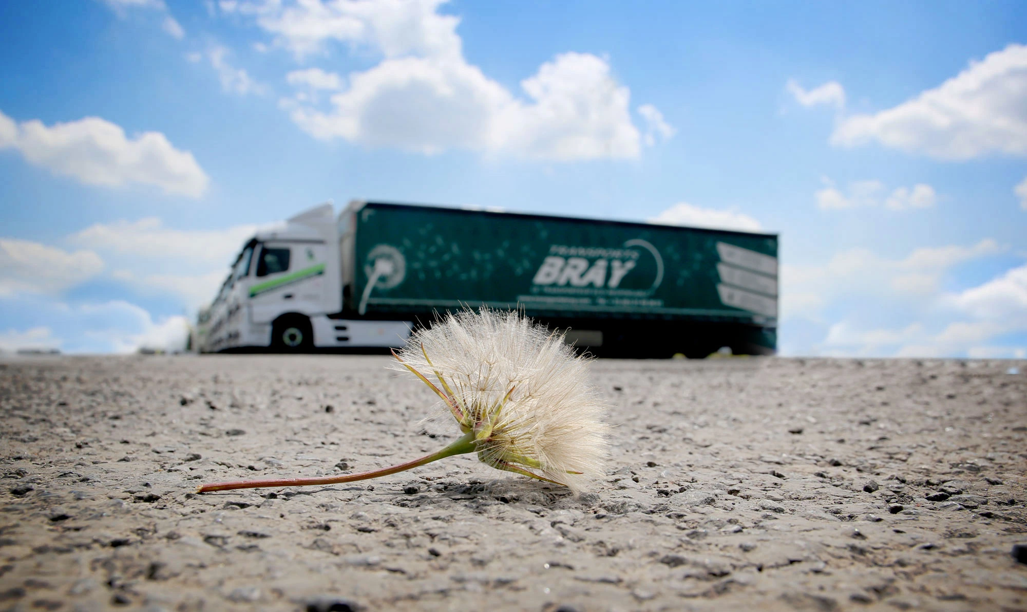 Camion transport Bray complet avec une fleur en premier plan